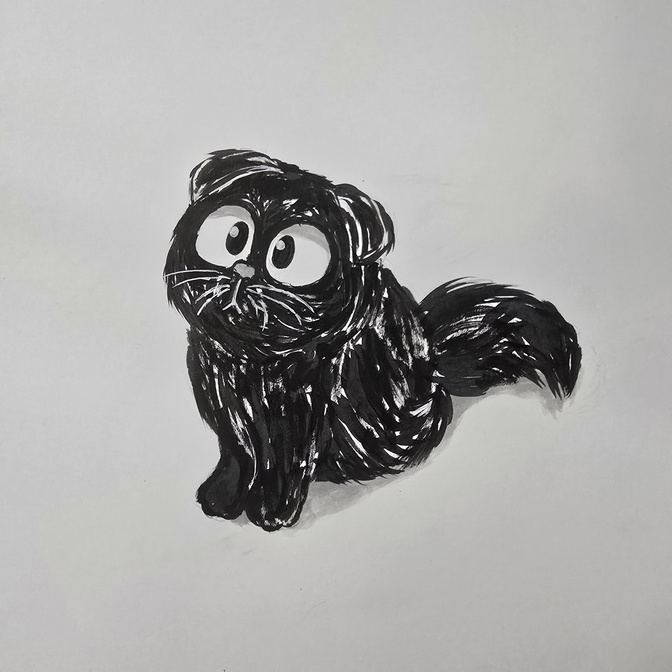 &quot;Black Scottish Fold&quot;