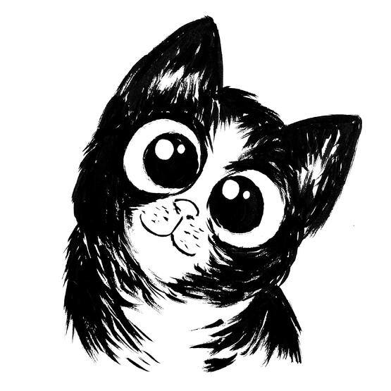 &quot;Silly Cat&quot;